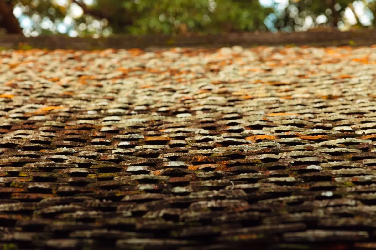 Aging shingle roof with moss growth and granule loss in Medford, OR